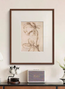 《棕线花绘》法式中古风客厅花卉装饰画餐厅玄关卧室床头复古挂画