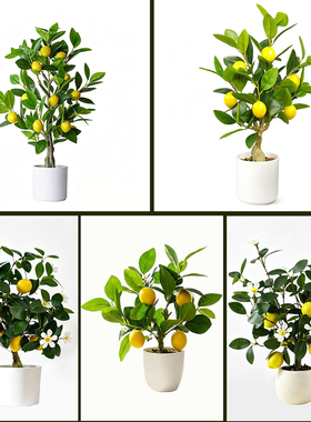 北欧仿真柠檬树盆栽带果带花