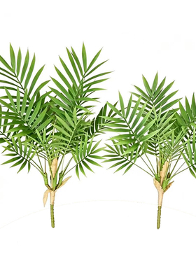 多款仿真植物叶子花艺布景拍摄