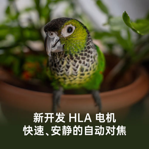 Sigma/适马24-70mmF2.8DG DN 适马2470二代变焦镜头24-70II E/L口 - 图1