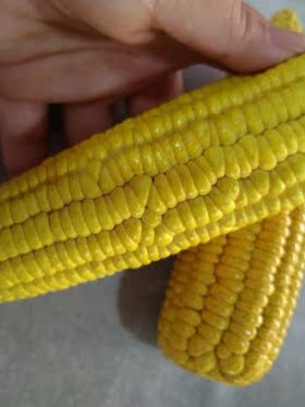 蔬菜仿真天然栩栩如生寿山石