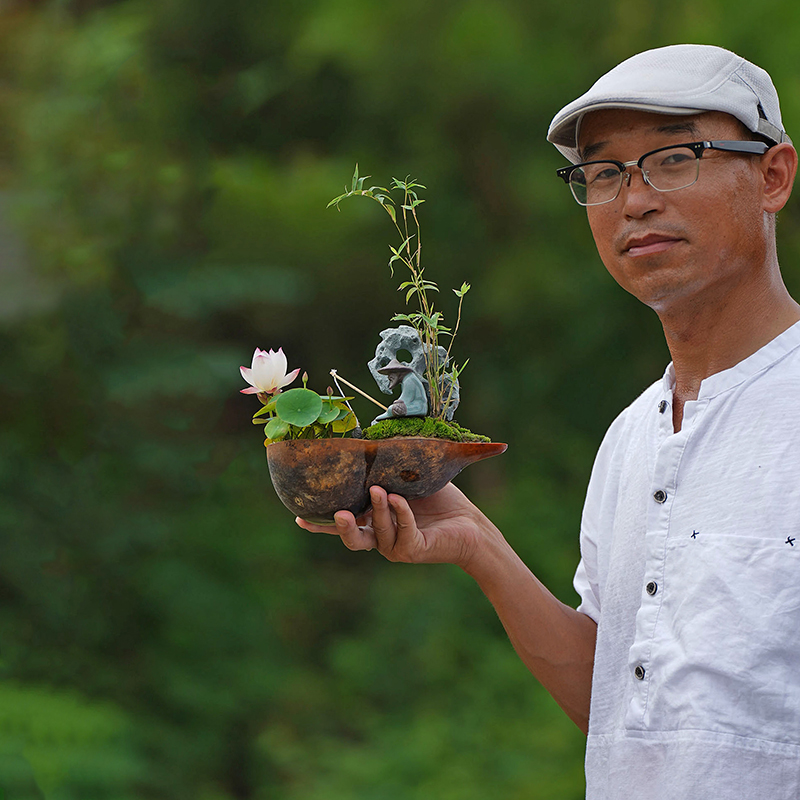 周劲松推荐用泥碗莲荷花睡莲专用鱼池塘泥田园营养土非荷塘河塘泥-图0