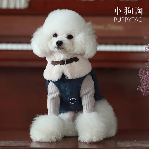 Осенний шерстяной жилет, милая майка топ с бантиком, куртка