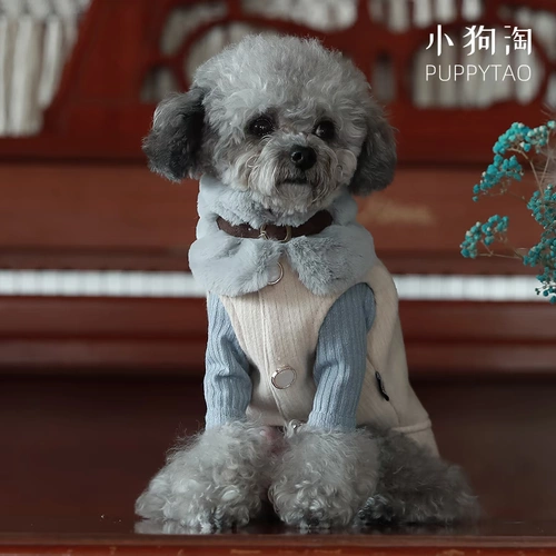 Осенний шерстяной жилет, милая майка топ с бантиком, куртка