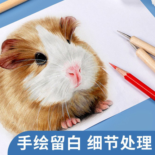 压线笔压痕笔无水笔划痕笔水溶彩铅钻笔留白点花笔拉线笔油泥修饰 - 图1