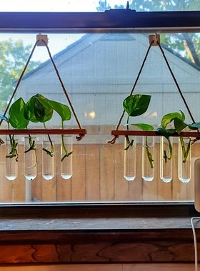 原木风壁挂试管花瓶背景墙挂饰