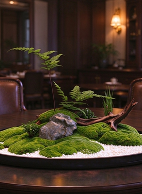 餐桌中间景观摆件苔藓盆景造景