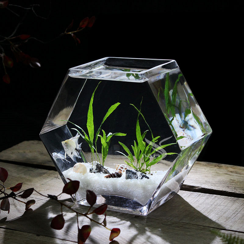 美人鱼缸斗鱼缸大号玻璃鱼缸高透亮桌面鱼缸办公室创意金鱼缸花瓶 - 图2