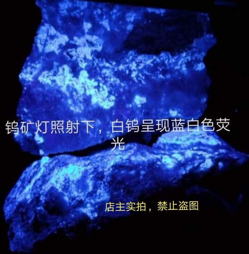 钨矿灯 白钨矿探矿灯 找白钨荧光探测紫外仪 手持式充电野外探钨 - 图3