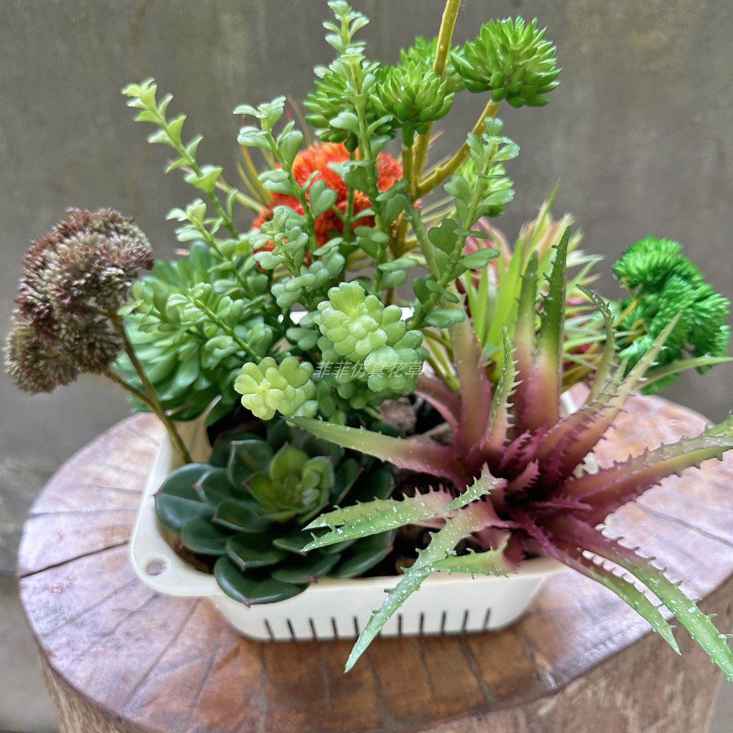 仿真多肉绿植沙漠植物墙挂壁假花束绿植热带爬宠缸造景家居装饰,淘宝优惠券,粉丝福利购,淘宝优惠卷