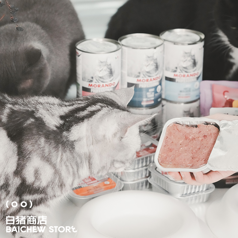 白猪商店 全系列 Morando茉兰朵 猫罐头 餐包 餐盒 湿粮猫罐 - 图2