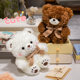 ຂອງຂວັນວັນເກີດ teddy bow tie ບັນທຶກ plush ຫມີ