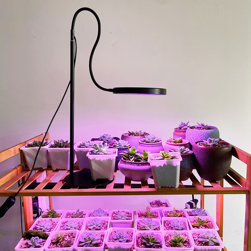 落地款座式全光谱植物生长灯定时桌面植物多肉防徒上色盆栽补光灯,淘宝优惠券,粉丝福利购,淘宝优惠卷
