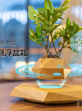 轻奢家居摆件北欧风花盆创意桌面