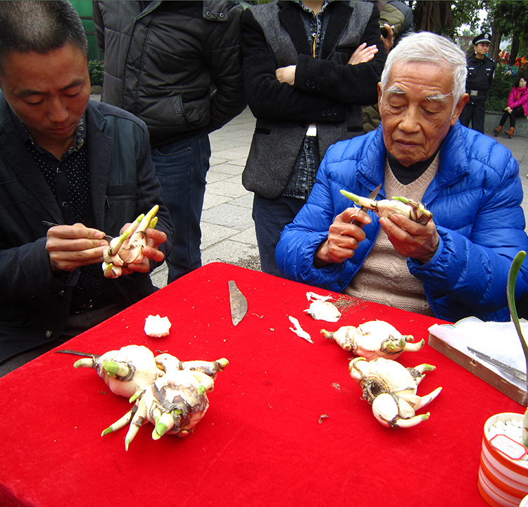 不锈钢单把 水仙花刻刀 漳州万隆水仙花种球雕刻刀 造型剥外皮用