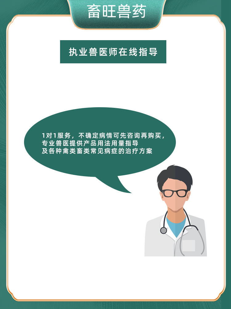 兽用痢别怕改善肠道调节肠道菌群促进饲料吸收水仲利疾一撒亭 - 图2