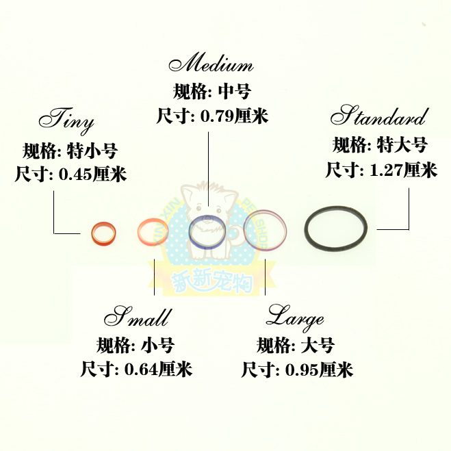 2包包邮 美国color coordinated宠物扎毛皮筋贵宾马尔济斯约克夏 - 图0