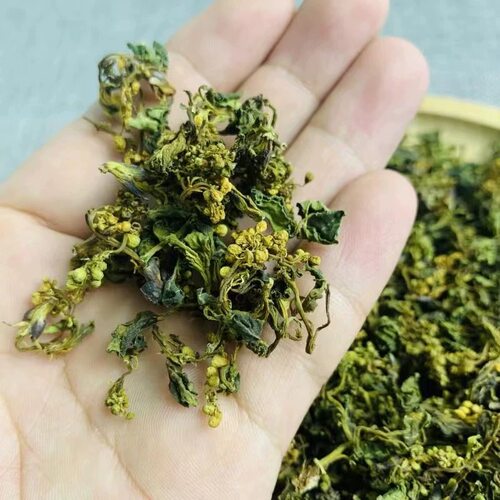 安徽特产庐江汤池百花菜新鲜干货珍珠花菜新鲜脱水蔬菜山珍野菜干 - 图1