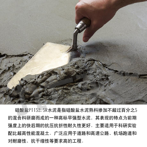 硅酸盐PII525R水泥混凝土砂浆早强快干高标号实验防水抢修补海螺