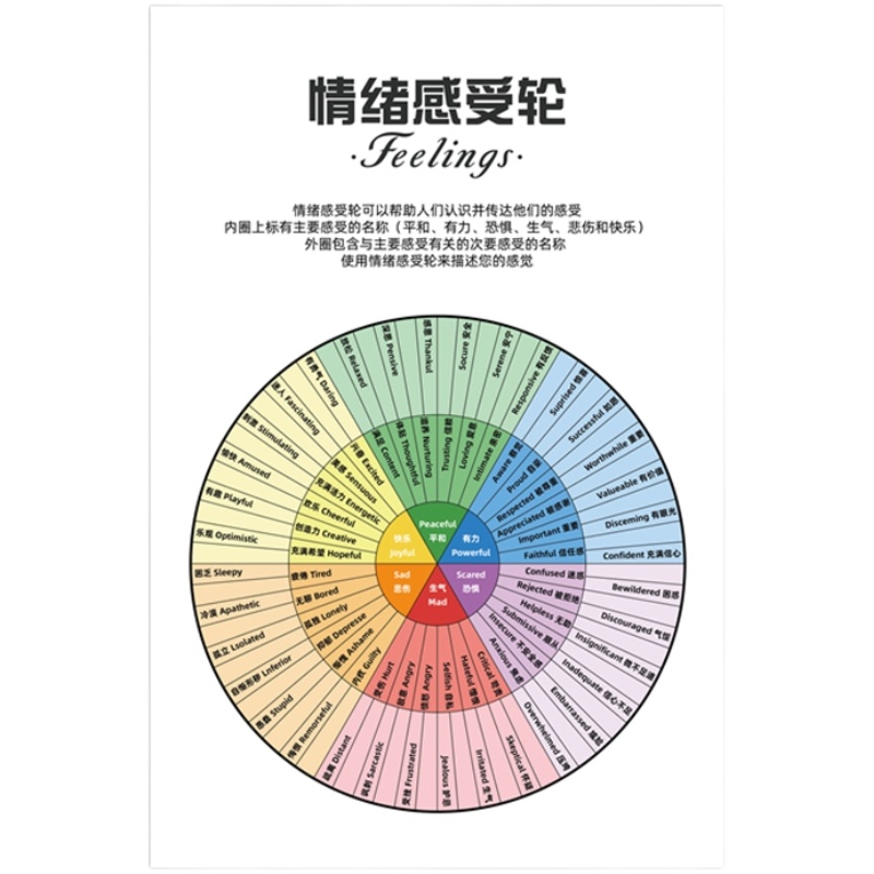 高档心理咨询室装饰画墙面布置画情绪冰山理论感受轮表情认知挂图 - 图3