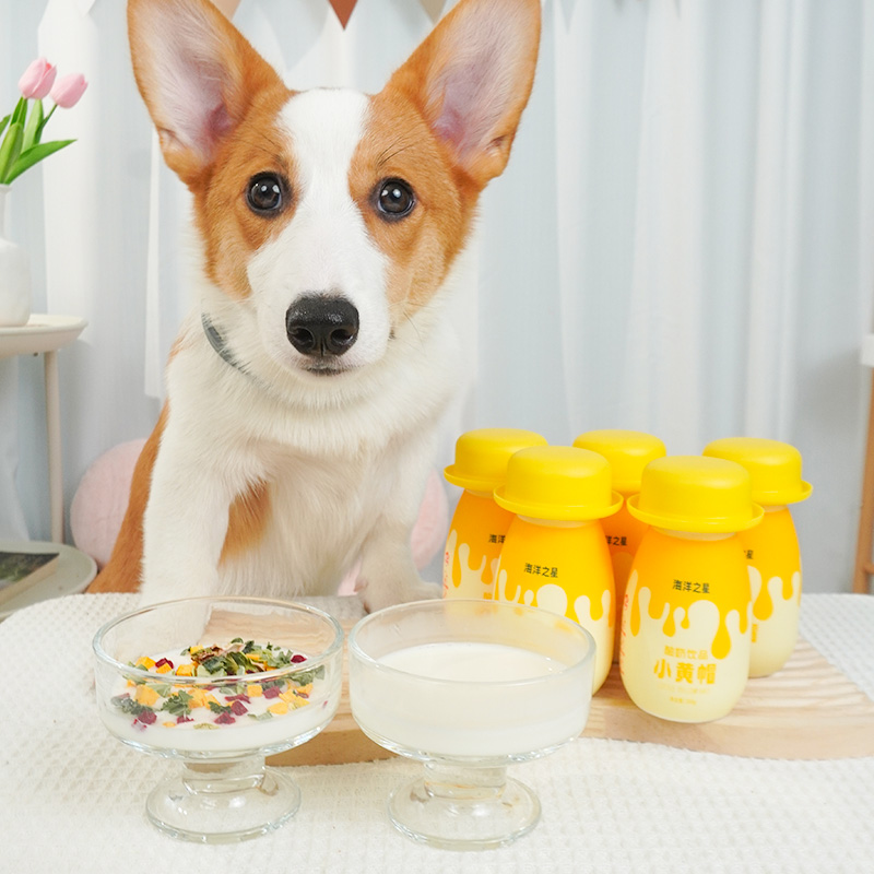 王可可 海洋之星宠物酸奶猫咪狗狗零食0乳糖益生菌补水营养拌粮 - 图0