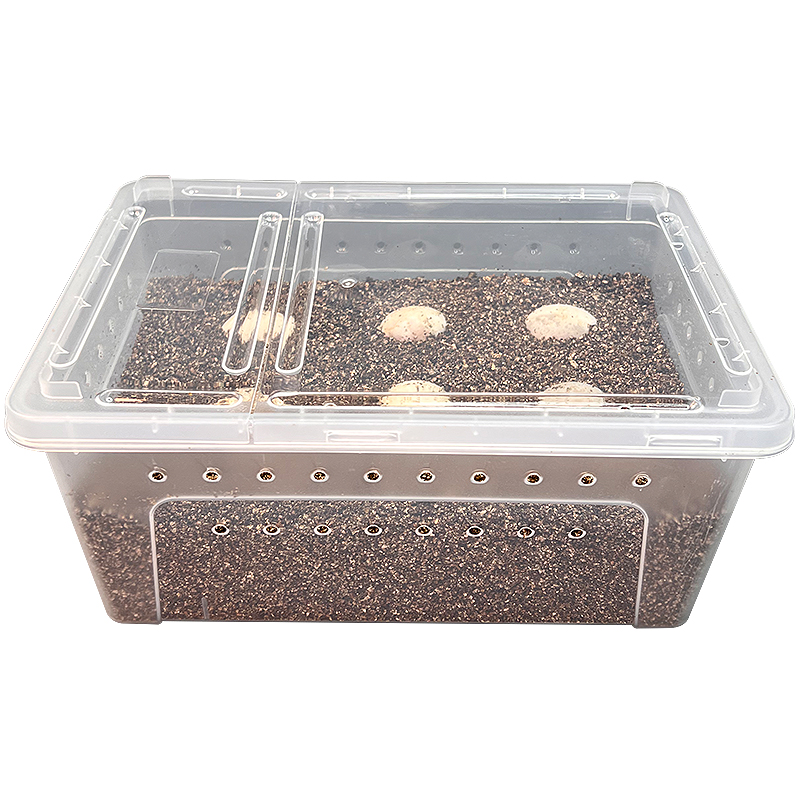 爬宠种龟蛋孵化器无菌蛭石守宫蛇蛋蜥蜴孵化盒保湿透气乌龟孵化箱-图3