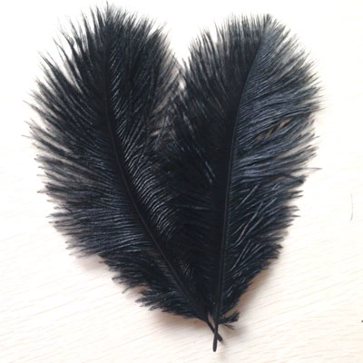 От 15 до 20 см. Острие волосы с шорт -одеждой.