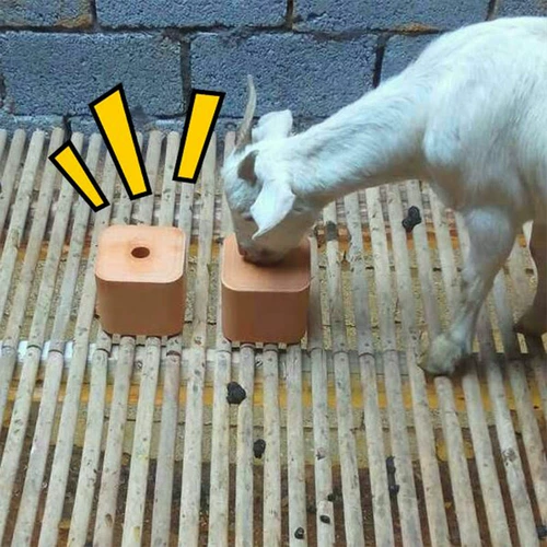 Король Джин Му лижет кирпичи соляные кирпичи соляные блокировки соляные камень отколоты и устойчивые к болезни корма