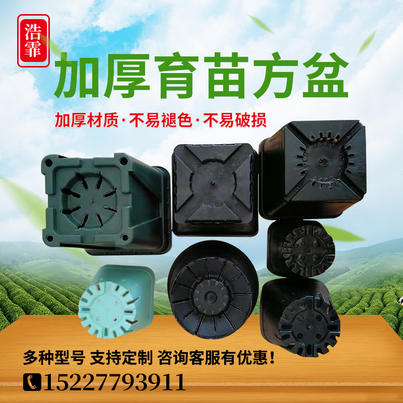 加深9cm小黑方景天盆多肉种植方盆塑料花盆方盒圆底拇指育苗盆 - 图1