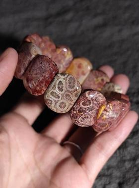 天然珊瑚玉菊花化石原石手牌手链