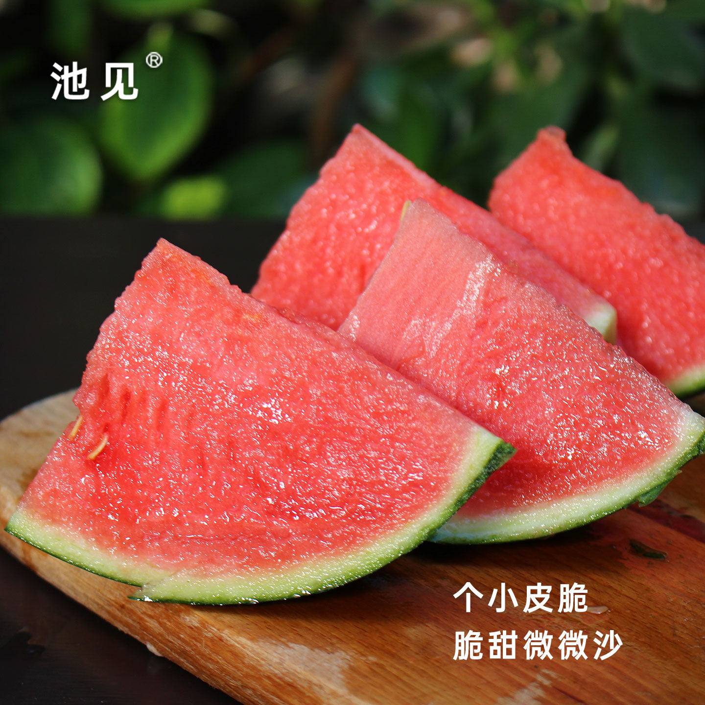 池见 庞各庄西瓜正宗北京大兴L600新鲜小吊瓜水果甜手撕小西瓜,淘宝优惠券,粉丝福利购,淘宝优惠卷