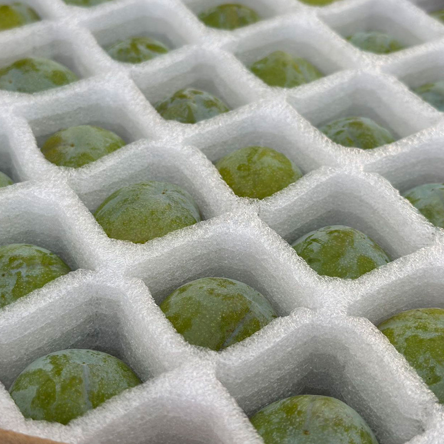 池见 1个园子的脆李子新鲜水果当季时令新鲜现摘现发孕妇水果顺丰,淘宝优惠券,粉丝福利购,淘宝优惠卷