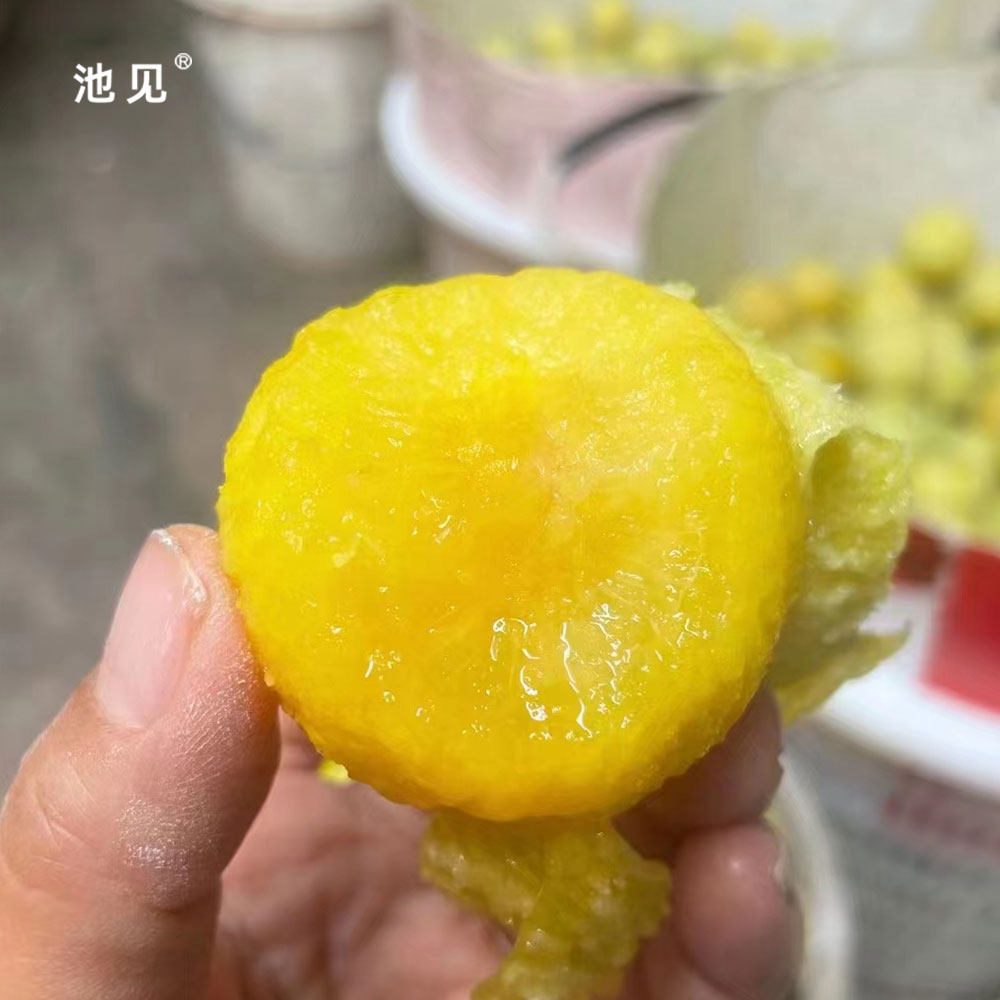 池见  四川汉源桃花李冰糖李软汁桃花布林李子黄金李大新鲜水果,淘宝优惠券,粉丝福利购,淘宝优惠卷