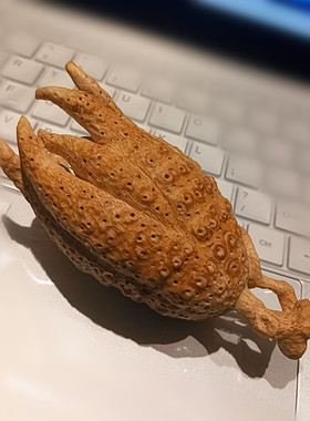 纯手工竹根雕佛手文玩