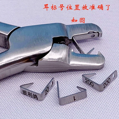 Большие мышиные ушные ушные крысы для ушей ушей