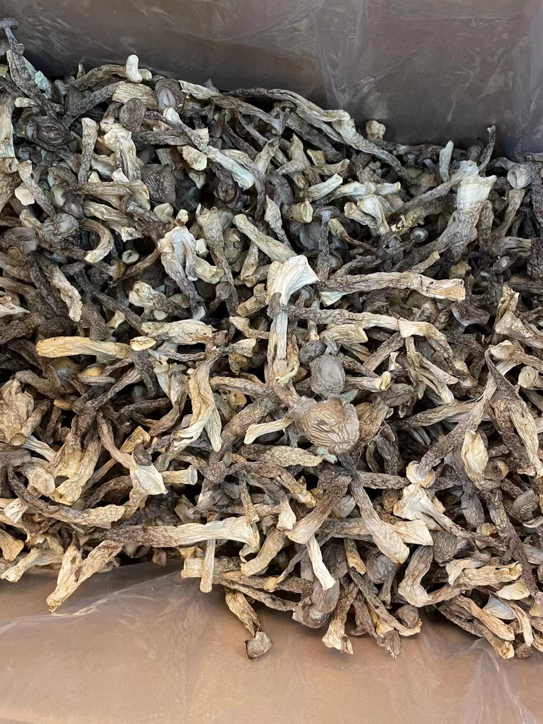 鹿茸菇农产品特级干货500g鹿茸菌无硫新鲜土特产煲汤食材食用 - 图2