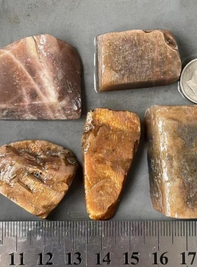 天然太阳石矿物原石毛料/日光石矿石/日长石晶体/旺夫石原料