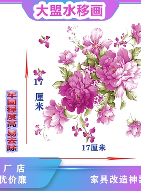 上海大盟水移画水转印专用橱柜家具瓷砖可订制量大优惠兰花祥瑞