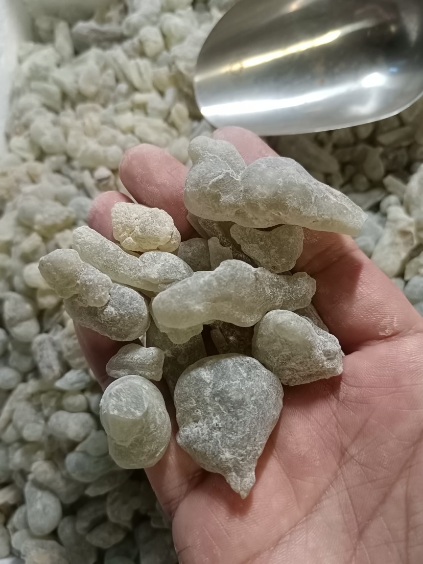 阿曼皇家绿乳香特级大颗粒标本熏陆甘橘柠檬香纯露,淘宝优惠券,粉丝福利购,淘宝优惠卷