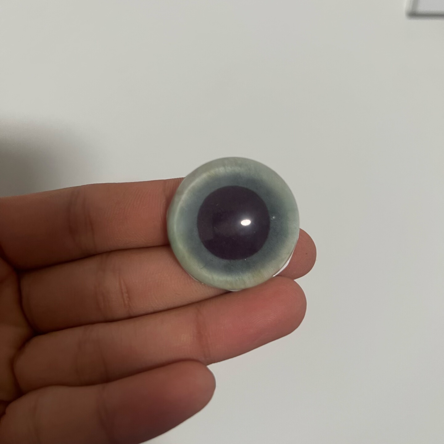 猫圆瞳孔兽头兽装玩偶半球玻璃眼睛毛毡动物圆瞳仿真扭扭棒福瑞,淘宝优惠券,粉丝福利购,淘宝优惠卷