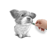 4,0 мм толщиной углеродной рисунок.