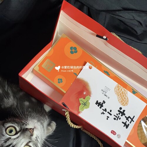 好柿花生卡片中秋节柿子月饼礼盒装饰柿柿如意伴手礼长方形贺卡 - 图2