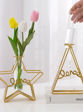 简约铁艺几何形水培容器试管花瓶插花摆件书房客餐厅办公室装饰品
