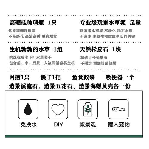 生态瓶微景观免换水diy科学作业材料玻璃办公桌面小鱼缸生态鱼缸 - 图2