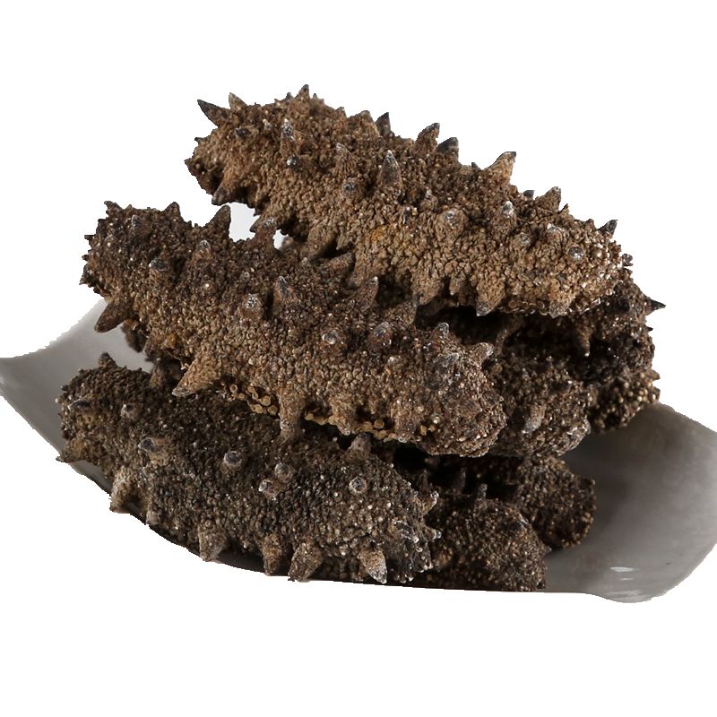 威海龙珍海参龙珍海参干货50g 威海野生海参鲜活刺参海生特价淡干海参散装海渗3