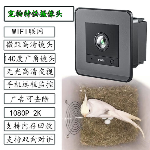 摄像头鹦鹉繁殖箱微距高清无光夜视手机无线WIFI 插内存卡免广告 - 图0