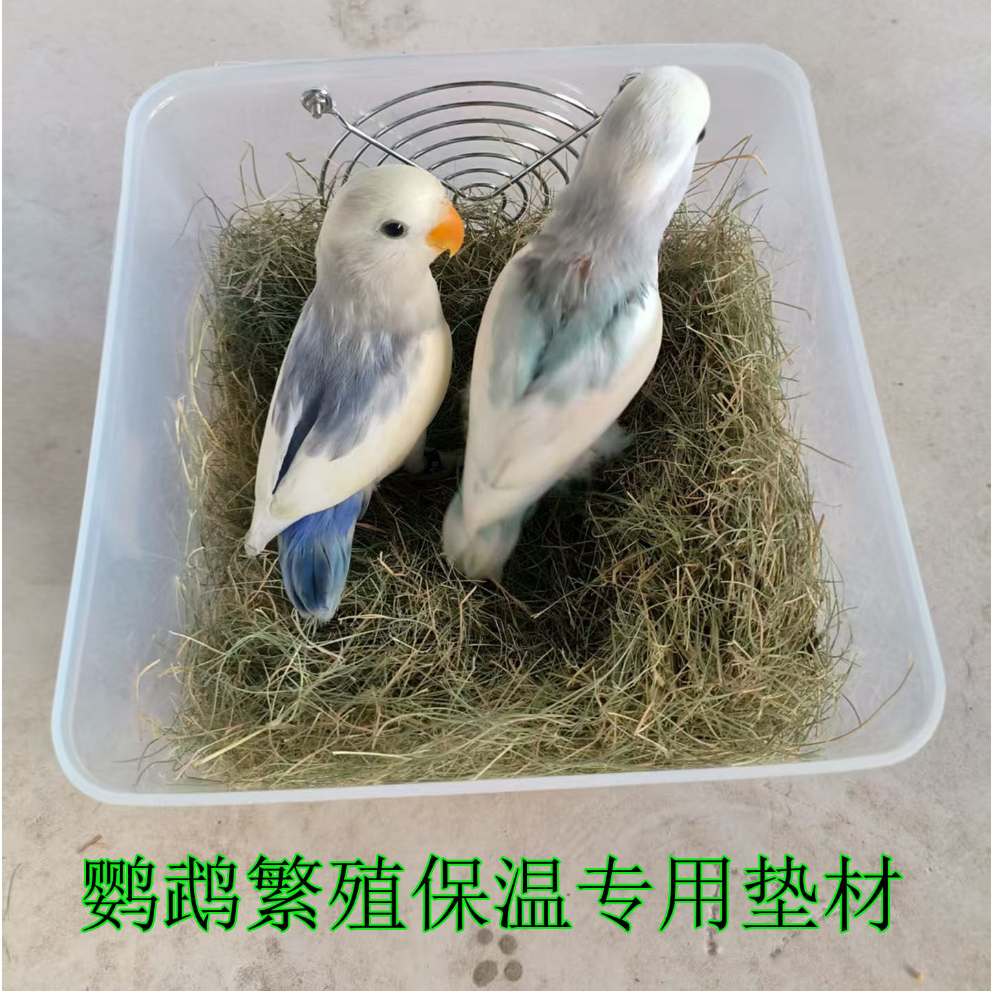 Haisheng Happy Forest Parrot Breeding Box Cushion