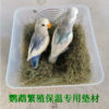 Haisheng Happy Forest Parrot Breeding Box Cushion