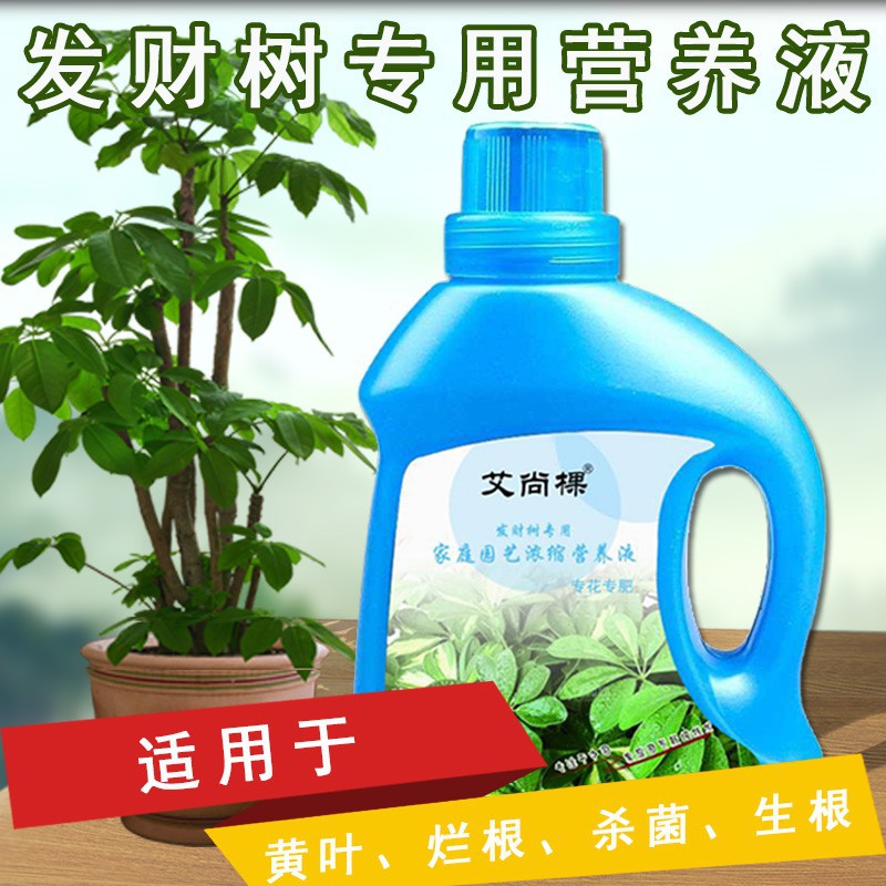 发财树营养液专用肥花肥料室内盆栽植物金钱树土水培通用浓缩家用-图2