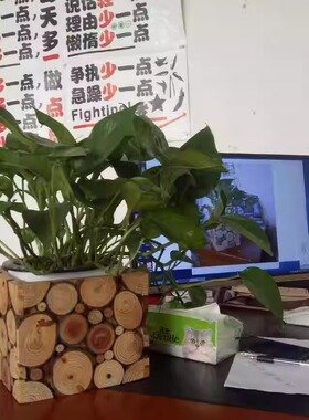 客厅木质插花筒艺术花盆套创意花架经典花箱高档发财桶花瓶套